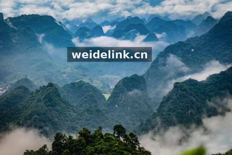 韦德官网赛程密集期体能管理配图